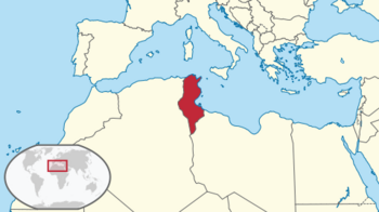 480px-Tunisia_in_its_region_svg.png